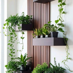 Collection image for: النباتات