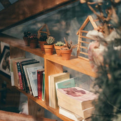 Collection image for: الأصص
